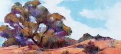 Kalaghadi Bushveld | 2022 | Oil on Canvas | 36 x 51 cm